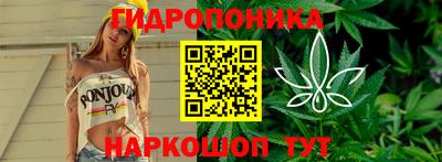 Альфа ПВП Комсомольск-на-Амуре