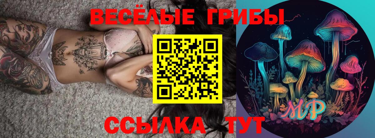 Псилоцибиновые грибы прущие грибы Касимов