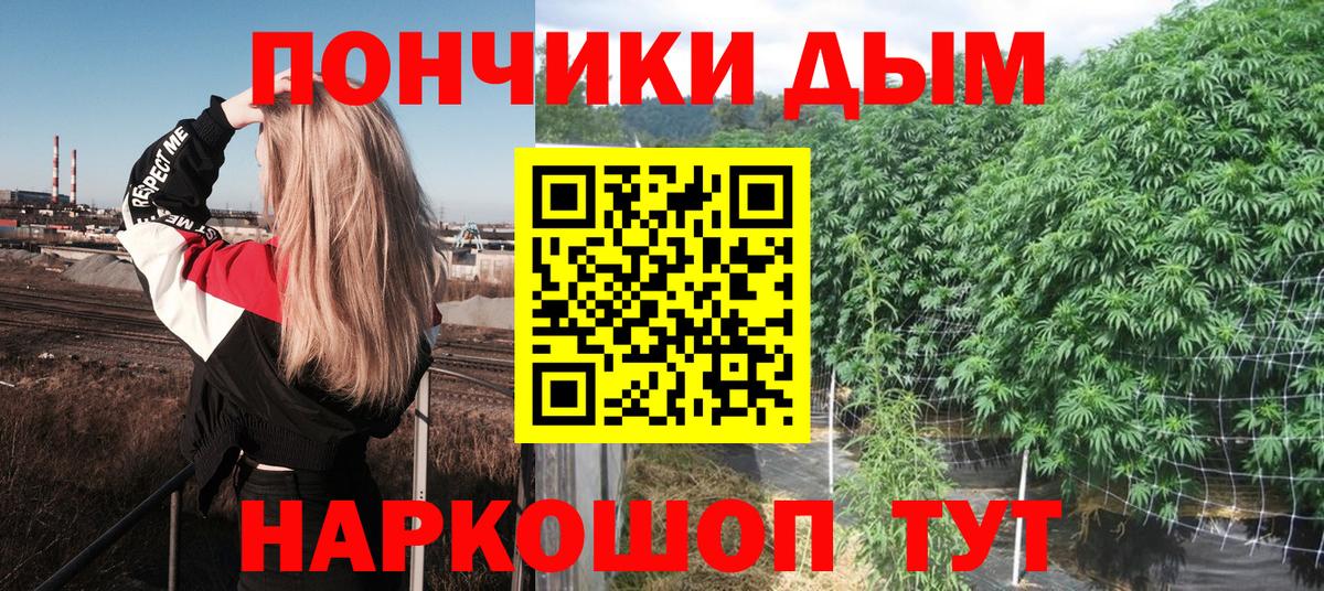 Бошки марихуана ГИДРОПОН Касимов